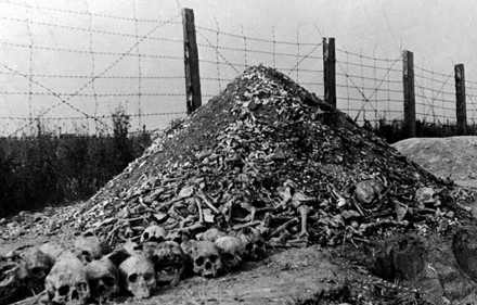 majdanek
