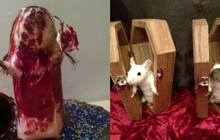 shockyou-rachel-garcia-souris-walking-dead-zombie-taxidermie-3