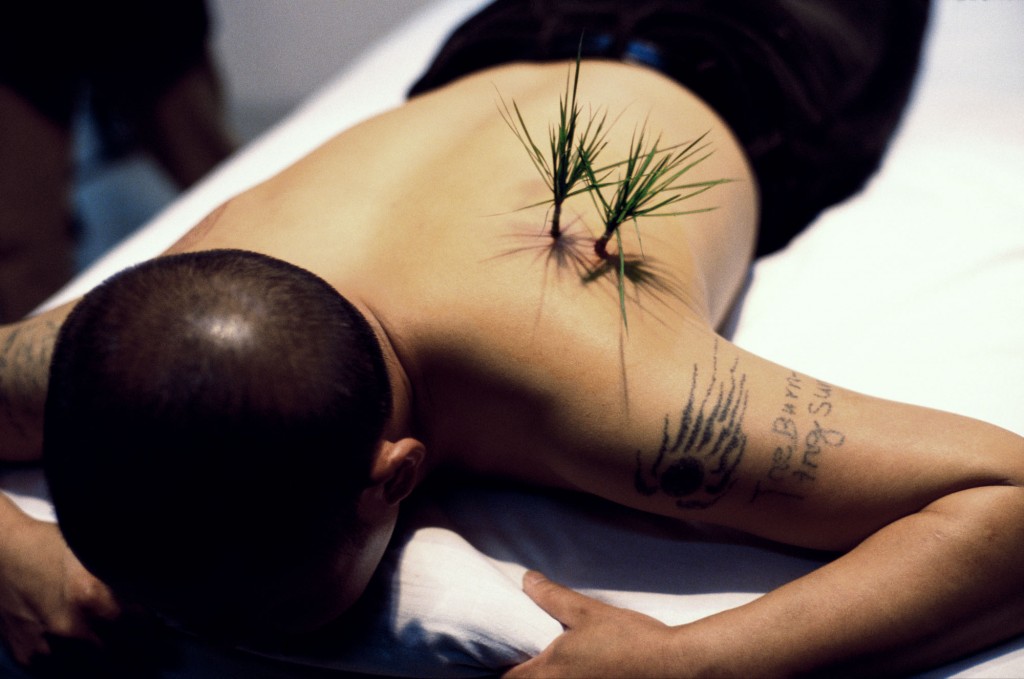 Yang Zhichao, Planting Grass